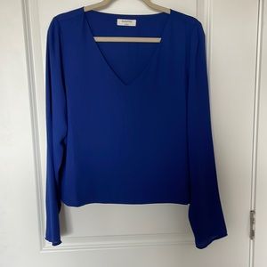 Babaton Aritzia Blue Long Sleeve Crop Top